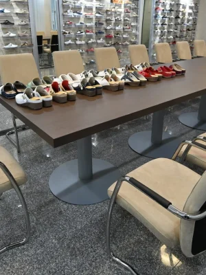 Ledi Anatomic - O nama