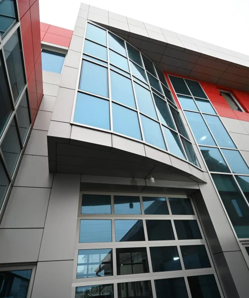 Ledi Anatomic - O nama